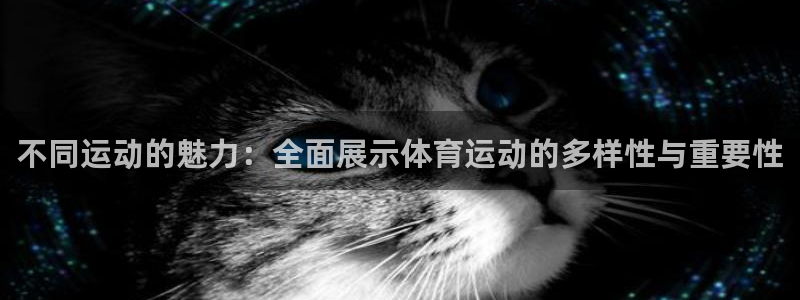 哈哈体育：不同运动的魅力：全面展示体育运动的多样性与重要性
