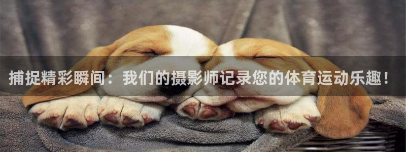 哈哈体育：捕捉精彩瞬间：我们的摄影师记录您的体育运动乐趣！