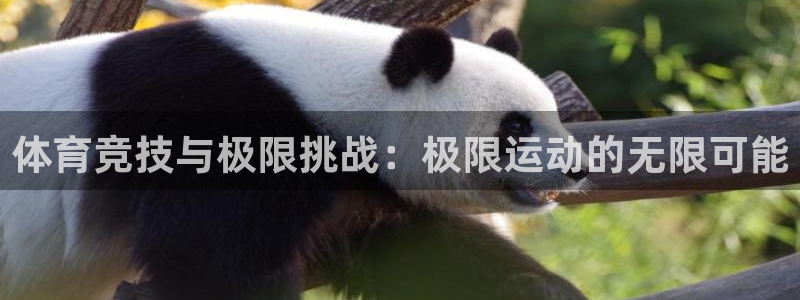 哈哈体育十年：体育竞技与极限挑战：极限运动的无限可能