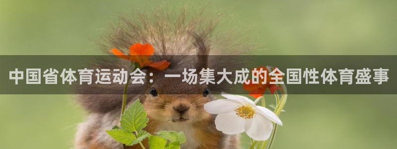 哈哈体育下载：中国省体育运动会：一场集大成的全国性体育盛事
