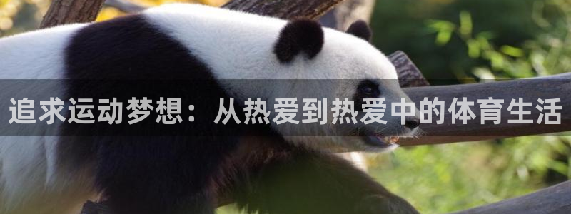 哈哈体育：追求运动梦想：从热爱到热爱中的体育生活