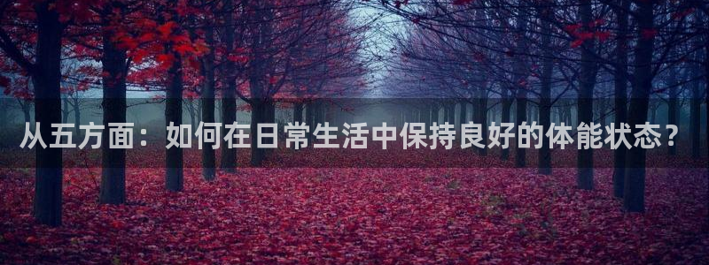 哈哈体育：从五方面：如何在日常生活中保持良好的体能状态？