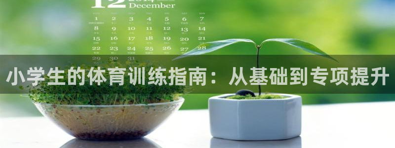 哈哈体育下载：小学生的体育训练指南：从基础到专项提升