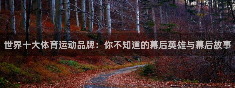 哈哈体育十年：世界十大体育运动品牌：你不知道的幕后英雄与幕后故事