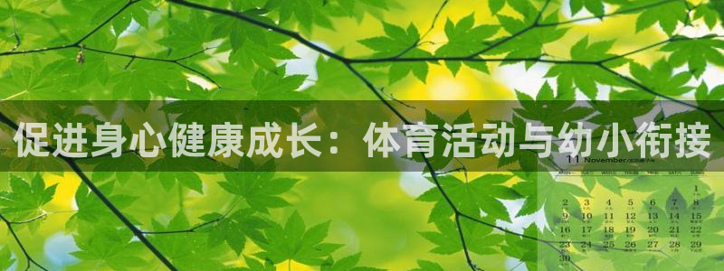 哈哈体育：促进身心健康成长：体育活动与幼小衔接