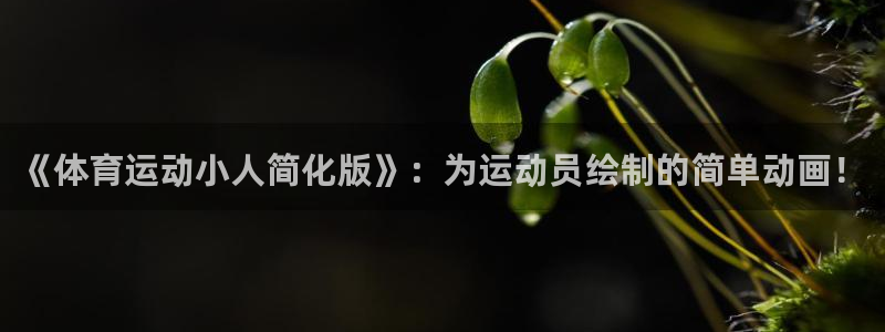 哈哈体育十年：《体育运动小人简化版》：为运动员绘制的简单动画！